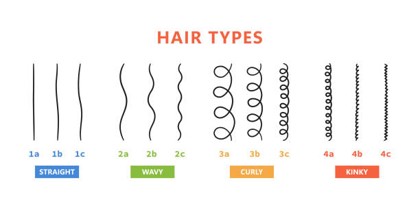 Different Hair Types - ENAX: Image illustrating different hair types. Title on picture is HAIR TYPES. Drawing shows different hair types with a single hair strand representing each hair type. Straight Hair 1a, 1b and 1c. Wavy Hair, 2a, 2b and 2c. Curly Hair, 3a, 3b and 3c. Kinky Hair 4a, 4b and 4c.
